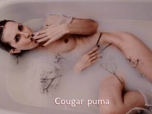 Cougar_puma