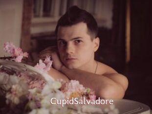 CupidSalvadore