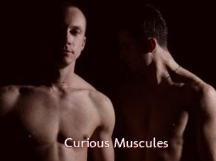 Curious_Muscules