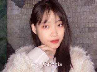 cafenia Sweet links only