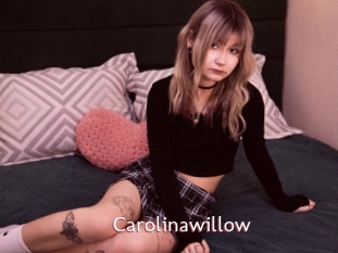 Carolinawillow