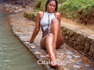 Cataleya91