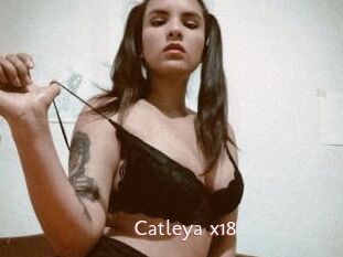 Catleya_x18