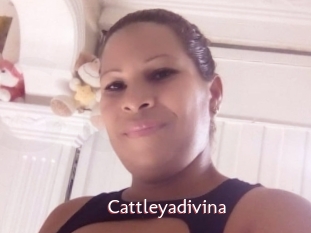 Cattleyadivina