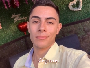 Cegavoy