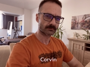 Corvin