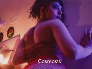 Cosmosis