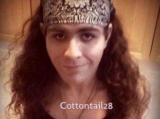 Cottontail28