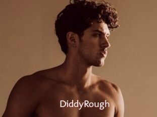 DiddyRough