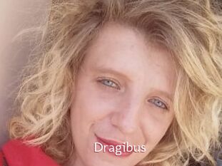 Dragibus