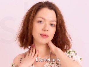 Elenecaris