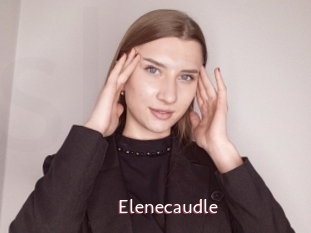 Elenecaudle