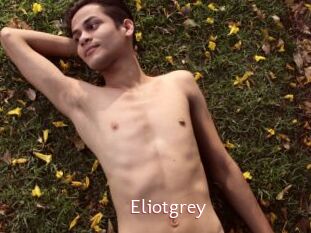 Eliotgrey