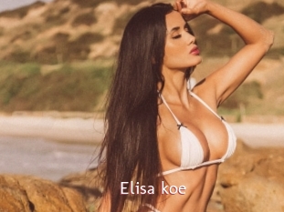 Elisa_koe