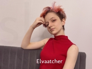 Elvaatcher