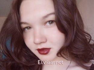 Elviaarnet