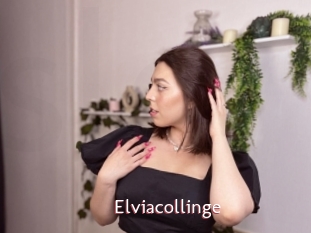 Elviacollinge