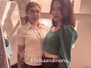 Elvinaandmona