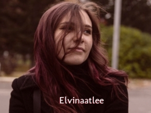 Elvinaatlee