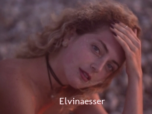 Elvinaesser