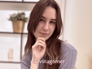 Elvinagomer