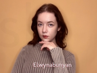 Elwynabunyan