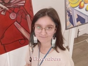 Elwynabuss