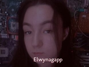 Elwynagapp