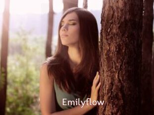 Emilyflow