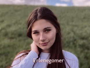 Erlenegomer