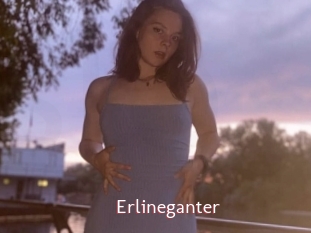 Erlineganter