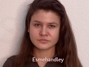 Esmehandley