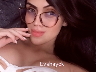 Evahayek