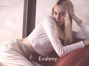 Evalevy