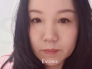 Evawa