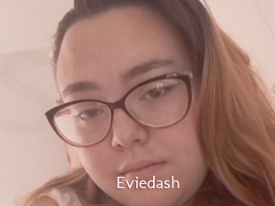 Eviedash