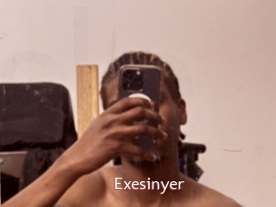 Exesinyer