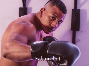 Falcon_hot