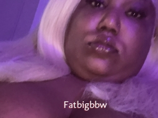 Fatbigbbw