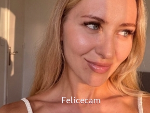 Felicecam