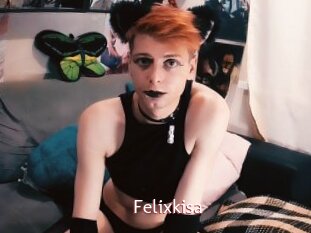 Felixkisa