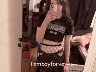 Femboyforveiws