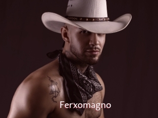 Ferxomagno