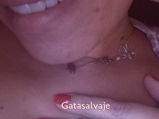 Gatasalvaje