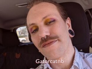 Gatorcatnb