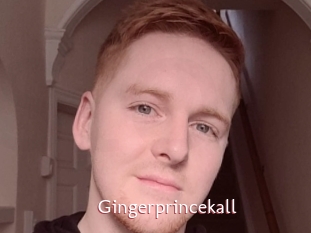 Gingerprincekall