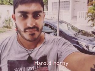 Harold_horny