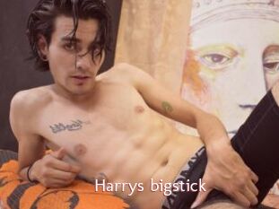 Harrys_bigstick