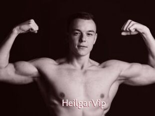 HeilgarVip