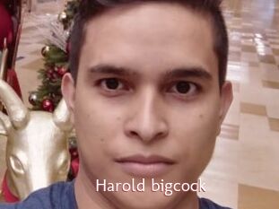 Harold_bigcock